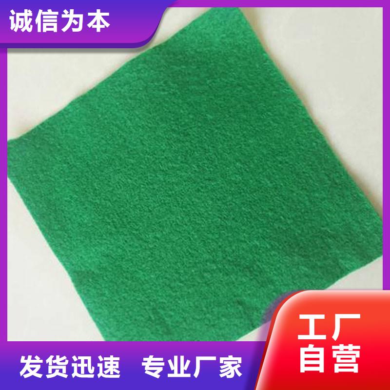 土工布矿用阻燃网工厂直销