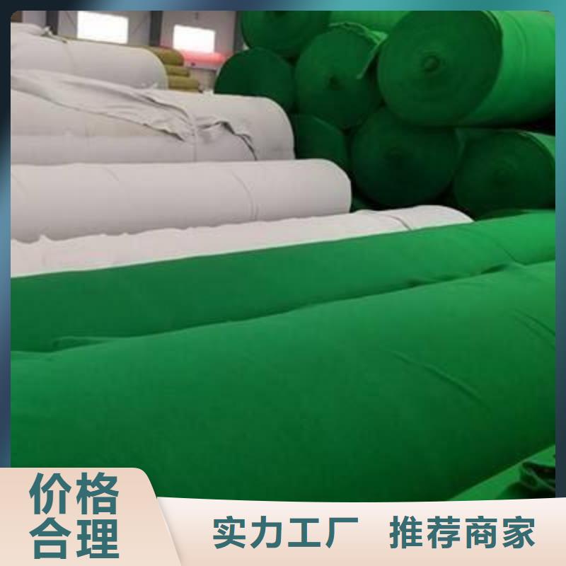 土工布双向土工格栅源头厂家经验丰富