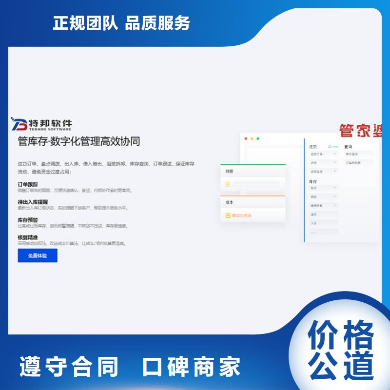 软件工业生产软件专业服务