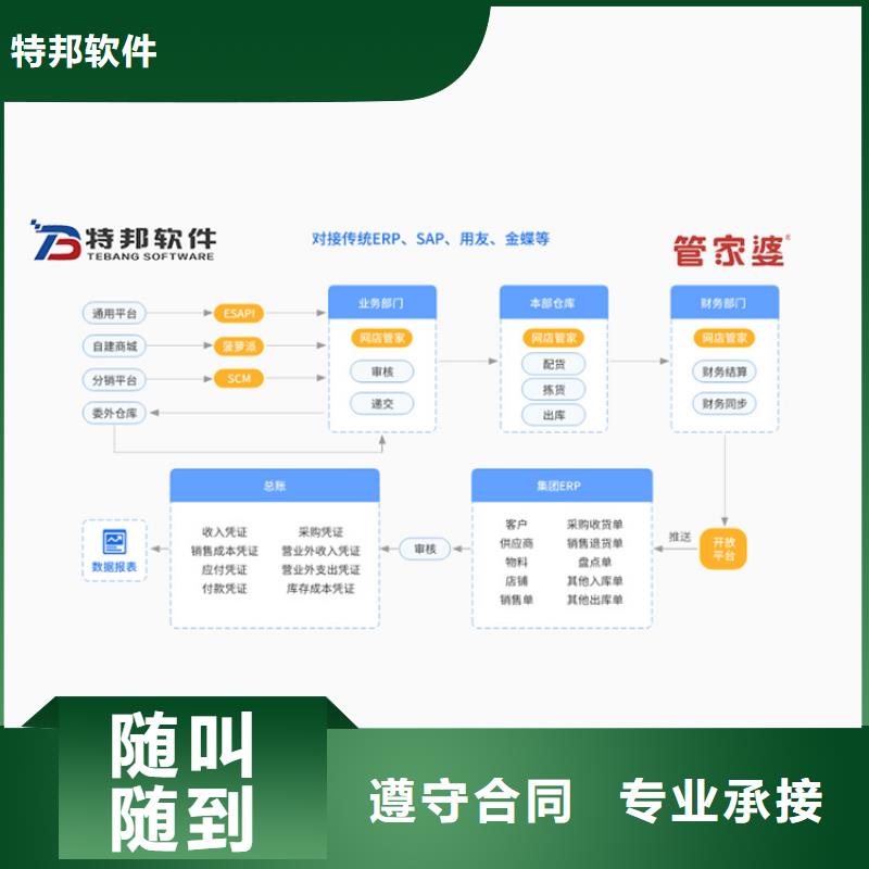 软件工业生产软件专业服务