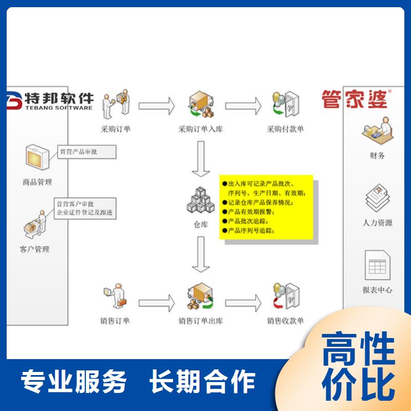 软件进销存软件专业承接
