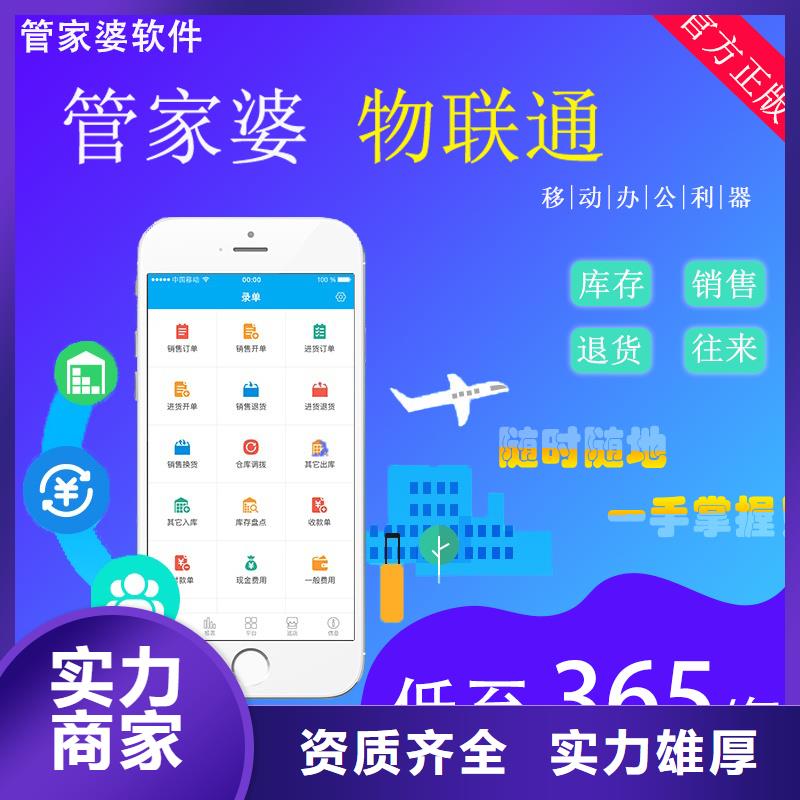 软件工业生产软件专业服务