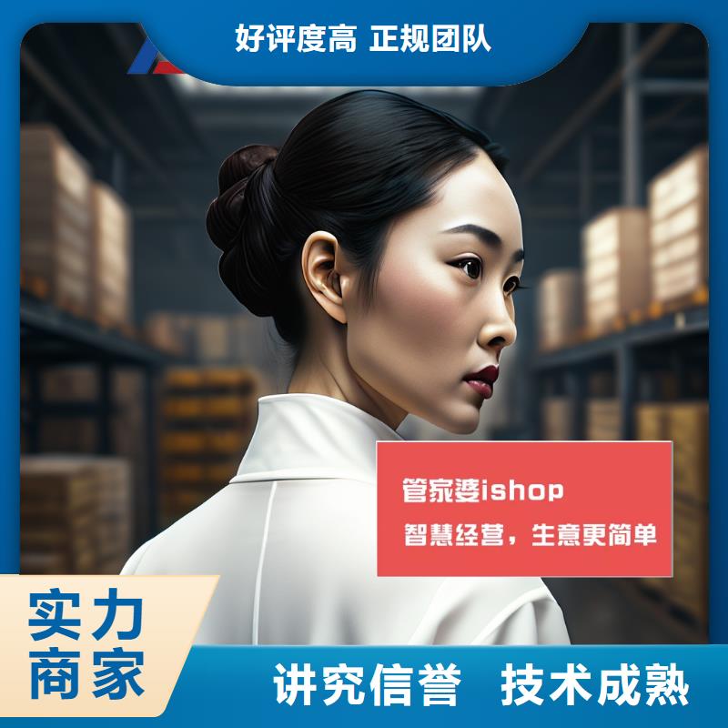 软件【进销存财务软件】实力团队