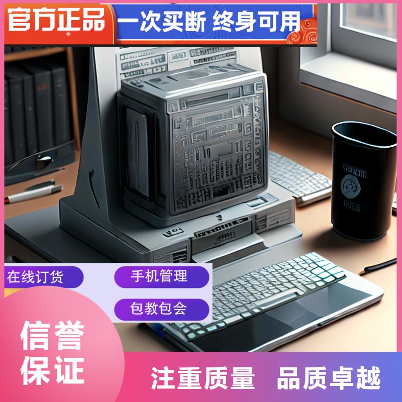 软件企业管理做账神器专业团队