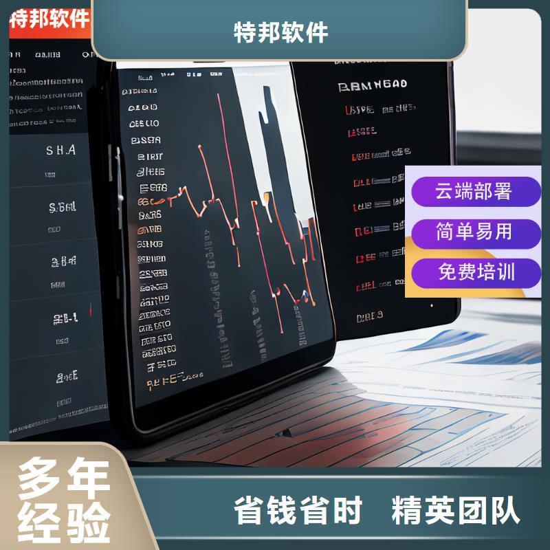 软件企业管理做账神器专业团队