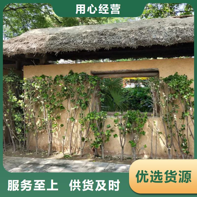 仿夯土外墙漆厂家#生态稻草漆#老房翻新#农家小院