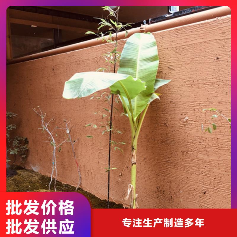 内墙稻草漆发货快