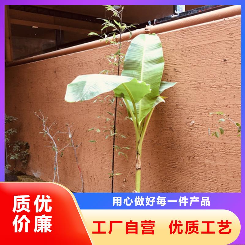 夯土艺术漆施工#仿泥巴稻草漆#民宿改造#美丽乡村