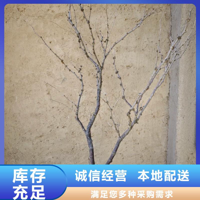 仿夯土漆多少钱#夯土墙面漆#仿泥巴墙涂料#稻草漆厂家
