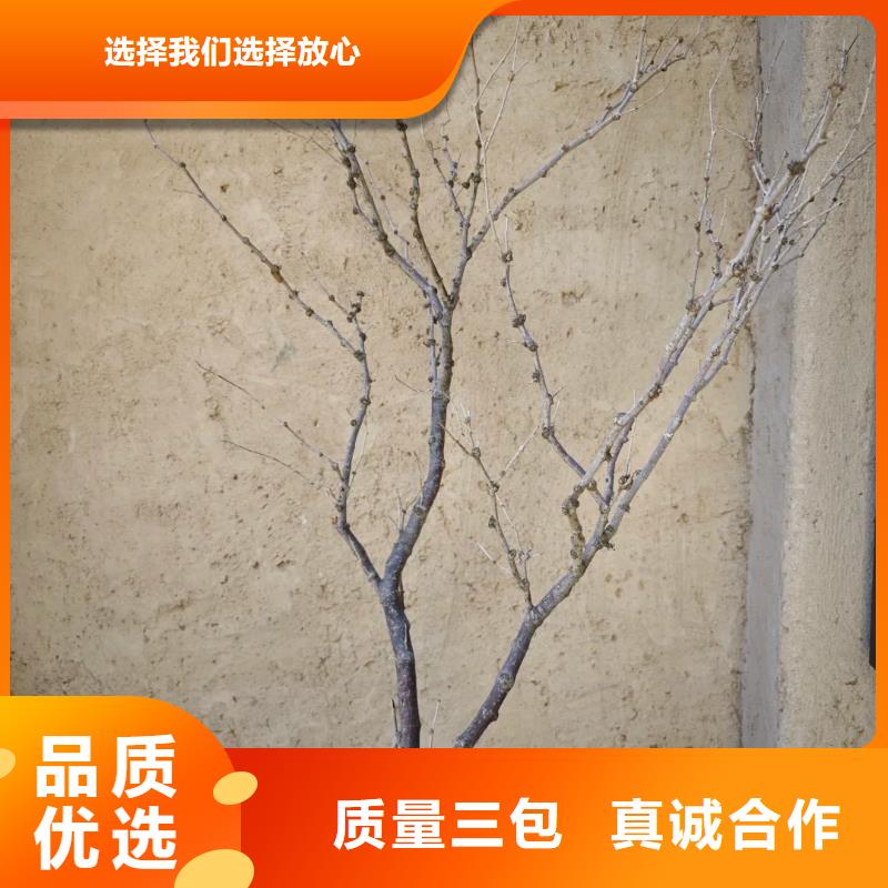 源头工厂稻秸秆漆施工价格