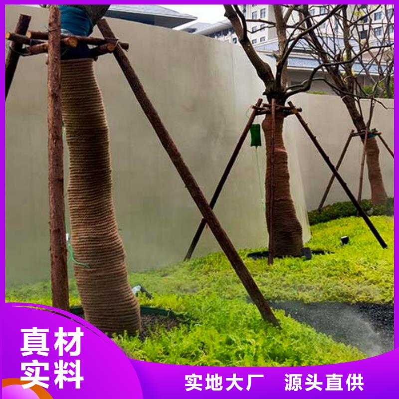 肌理漆-视频-肌理漆|肇庆市|端州|四会|珠海|揭阳|湛江|佛山