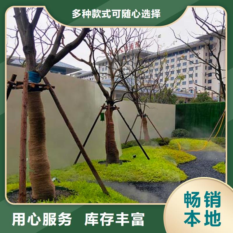 肌理漆-视频-肌理漆-采贝仿夯土稻草漆(中山市分公司)服务区域广州|阳江|珠海|揭阳|惠州