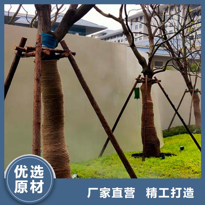 微水泥灰泥艺术涂料现货满足大量采购