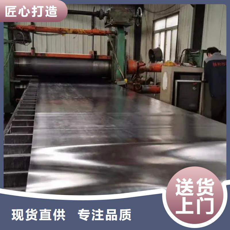 电动铅门-视频-电动铅门(泰聚)覆盖地域江苏省苏州市吴江|虎丘|南通|镇江|盐城|宿迁