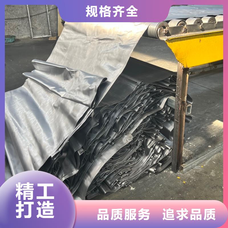 电动铅门-视频-电动铅门|广安市|邻水|岳池|攀枝花|自贡|资阳|遂宁|成都