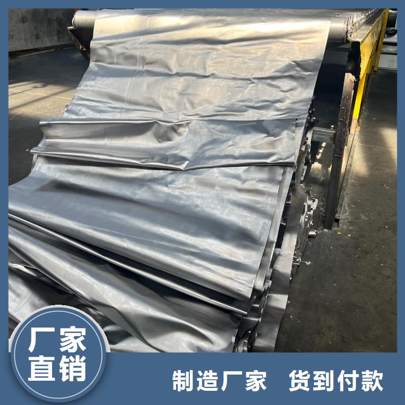 电动铅门-视频-电动铅门|广安市|邻水|岳池|攀枝花|自贡|资阳|遂宁|成都