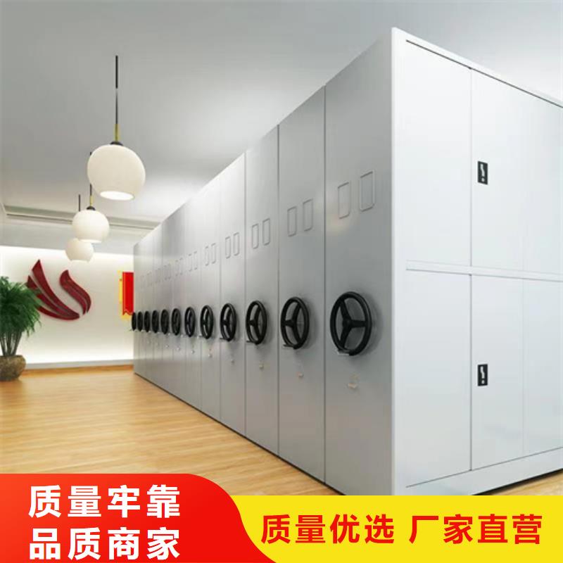 手动档案财务柜双面储存有防尘板
