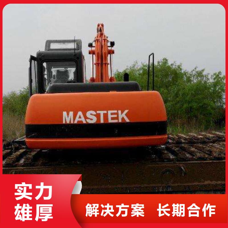 两栖挖掘机租赁
价格行情