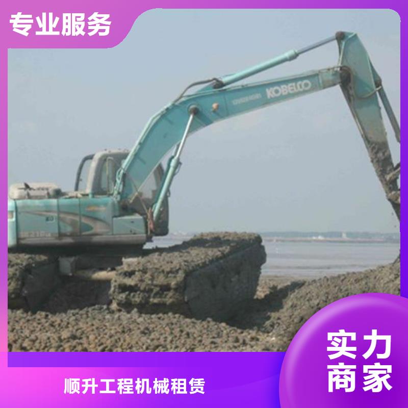 水上挖掘机租赁_租赁水陆挖机专业可靠