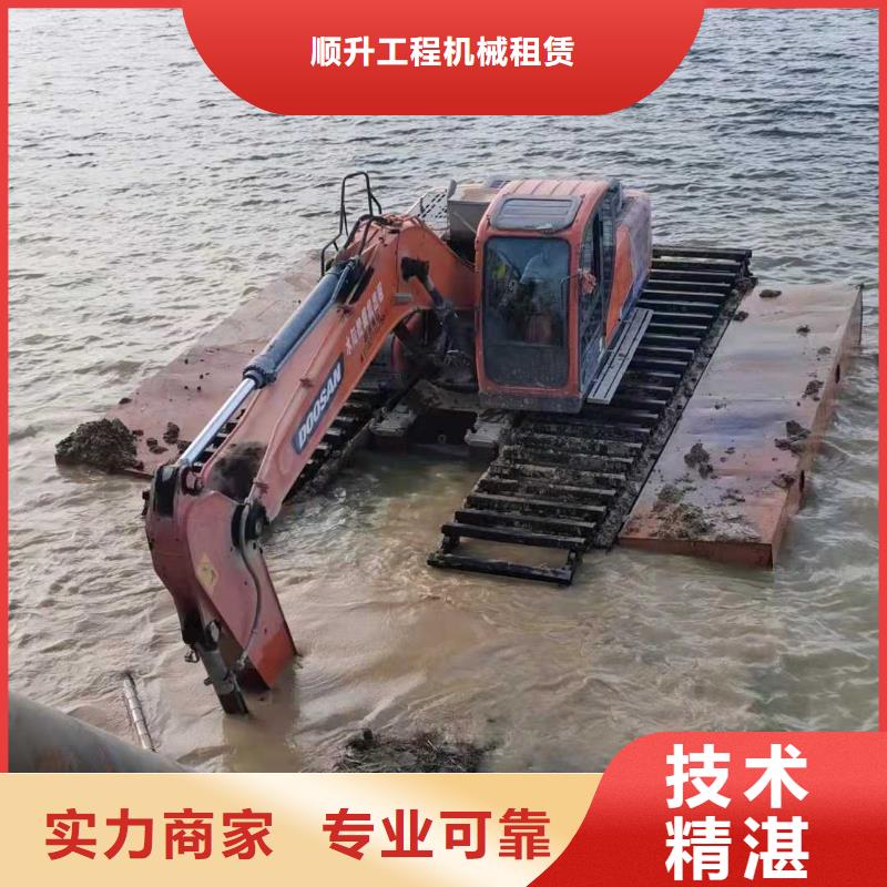 租赁湿地挖机-视频-租赁湿地挖机_山东省菏泽市市场覆盖鄄城|牡丹|潍坊|威海|莱芜|德州等