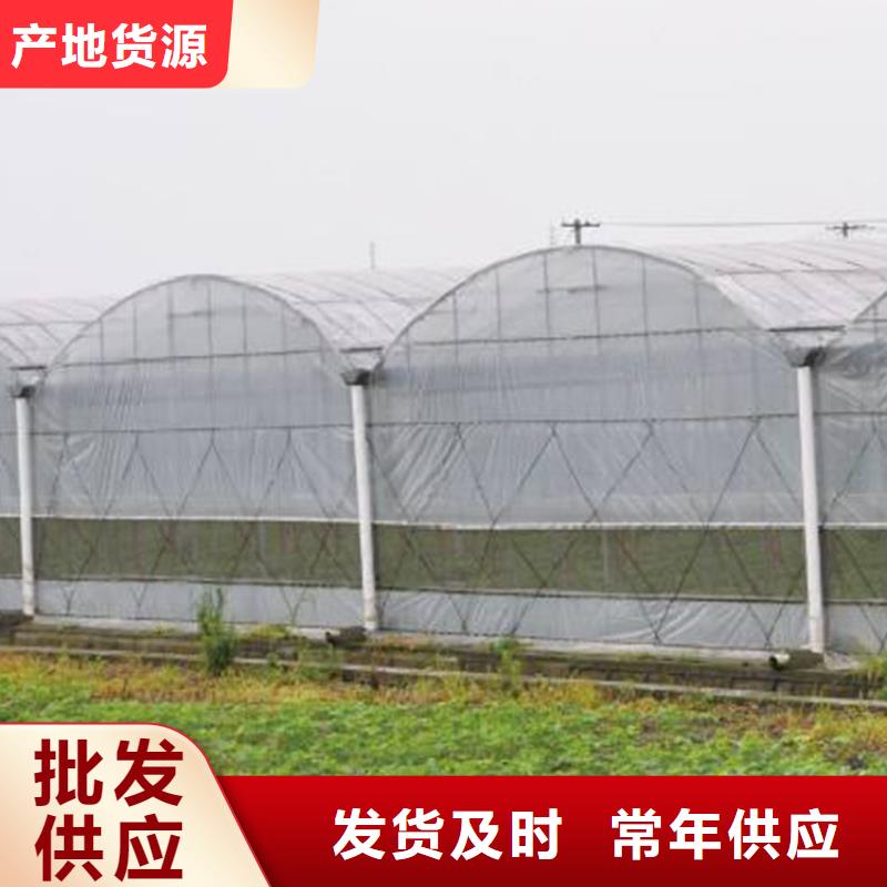 叙永县菌菇木耳大棚黑白膜良心厂家