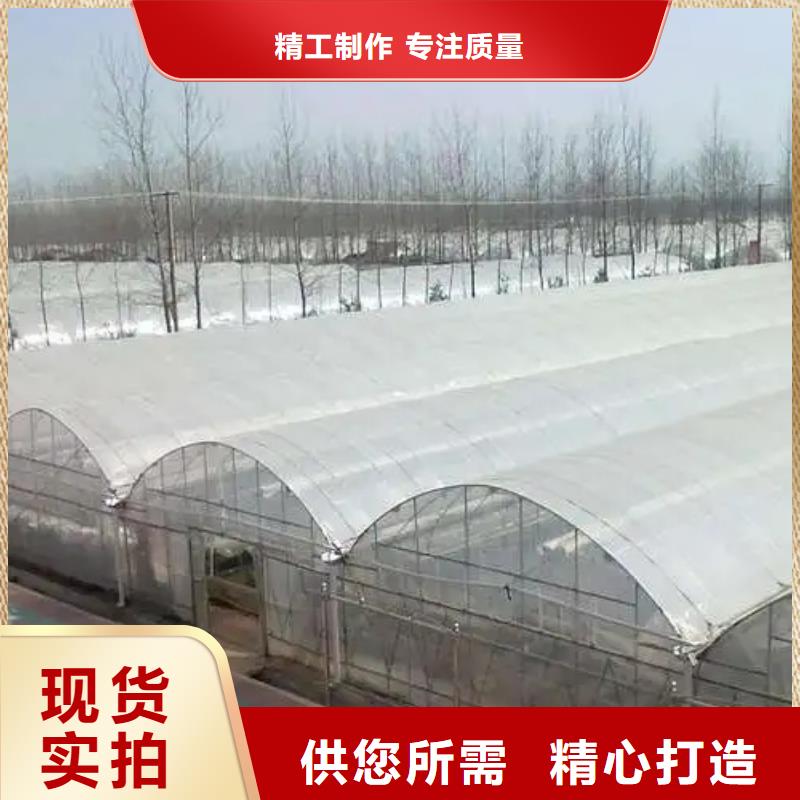 献县菌菇木耳大棚黑白膜按需定制