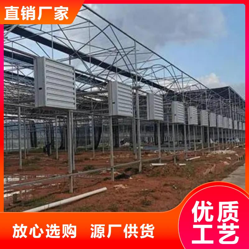葡萄大棚钢管货真价实