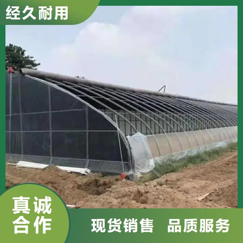 县葡萄大棚钢管厂家直销