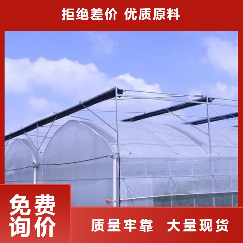 金山区葡萄蔬菜大棚PO膜供应商