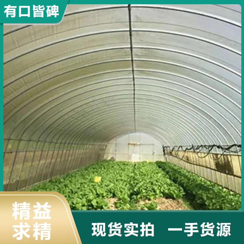 青冈县养殖大棚椭圆管正规厂家