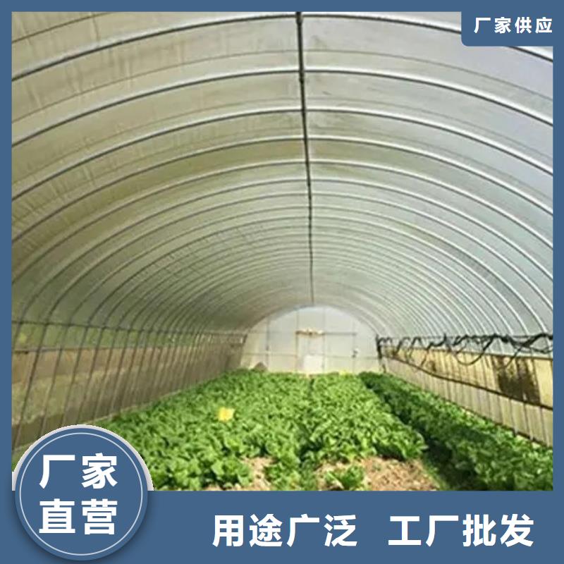 蔬菜水产养殖花卉育苗智能工厂-视频-蔬菜水产养殖花卉育苗智能工厂|朝阳市|龙城|凌源|阜新|铁岭|营口|沈阳|丹东|葫芦岛|辽阳