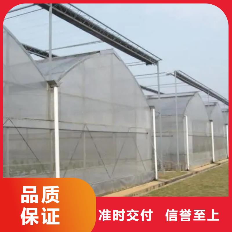 通风天窗厂家现货