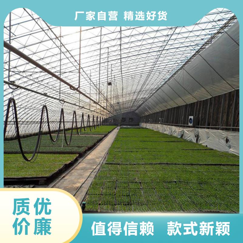 珠晖区花卉育苗大棚GLP8432【修饰词