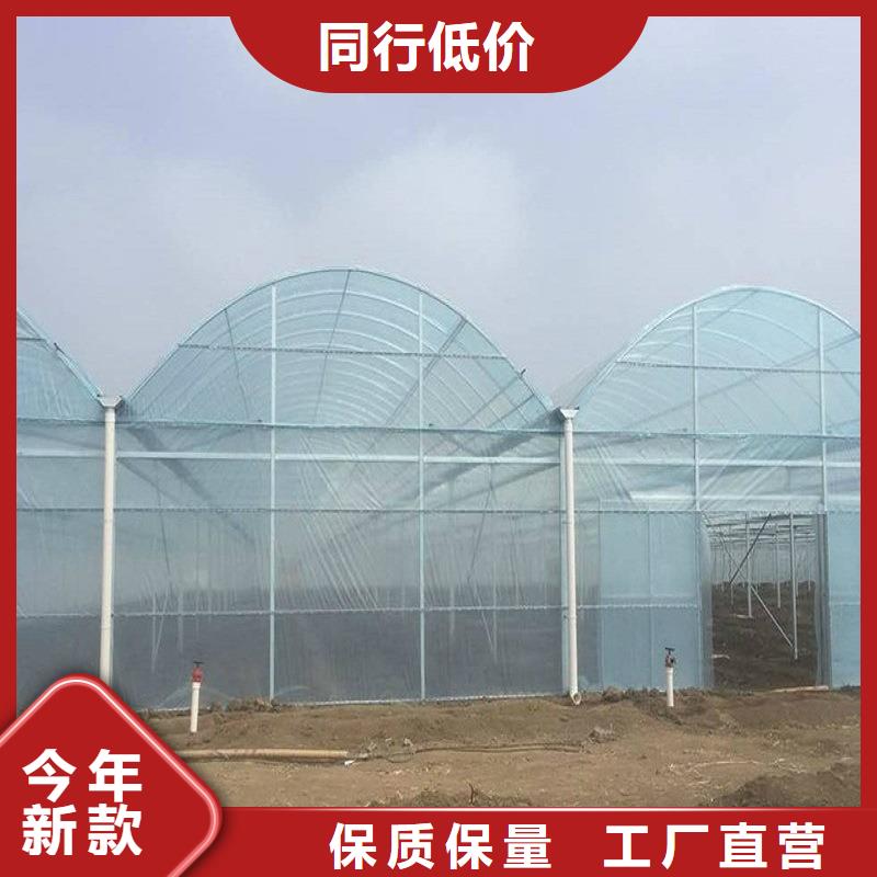 县葡萄大棚钢管厂家直销