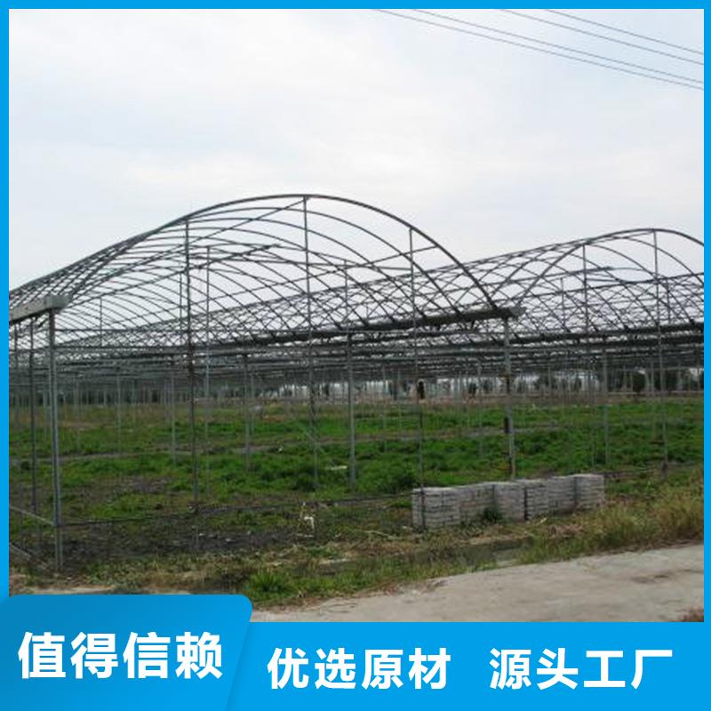 草莓大棚的跨度几米正规厂家