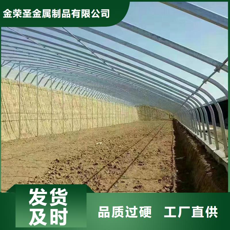 GP8432连体大棚批发价格2025--09