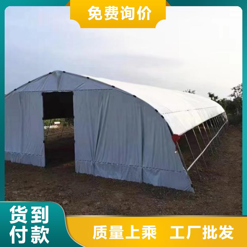 草莓大棚的跨度几米正规厂家
