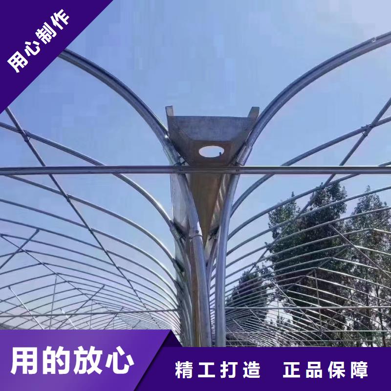 蔬菜水产养殖花卉育苗智能工厂-视频-城阳|黄岛|威海|泰安|济南|枣庄|莱芜|济宁|日照金荣圣蔬菜水产养殖花卉育苗智能工厂_ 金荣圣金属制品(青岛市分公司)