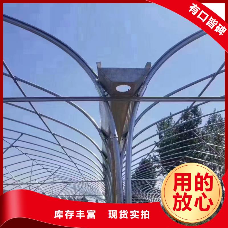 金山区葡萄蔬菜大棚PO膜供应商