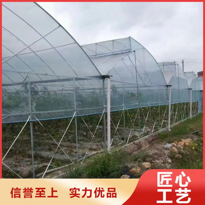 江阳区利得进口黑白膜现货供应2025乡村振兴计划