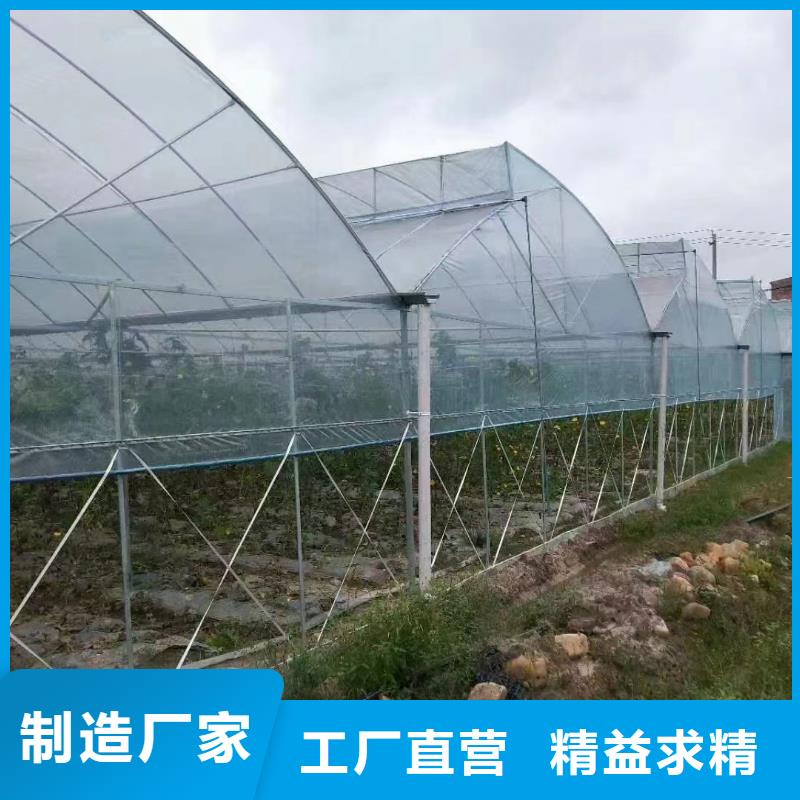 GP8432连体大棚批发价格2025--09