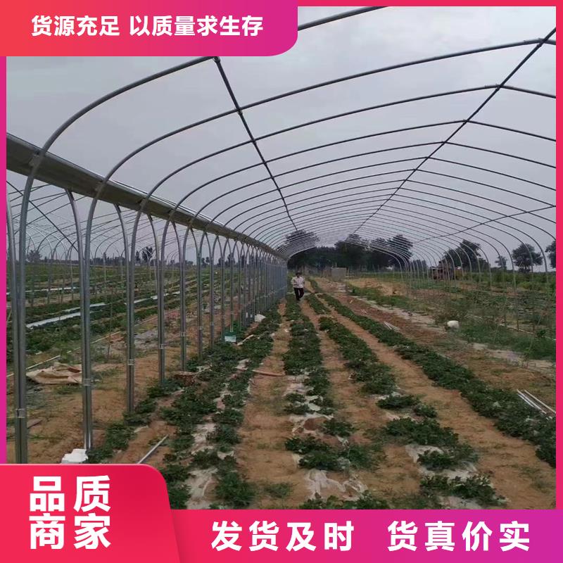 鄂城区利得进口黑白膜良心厂家
