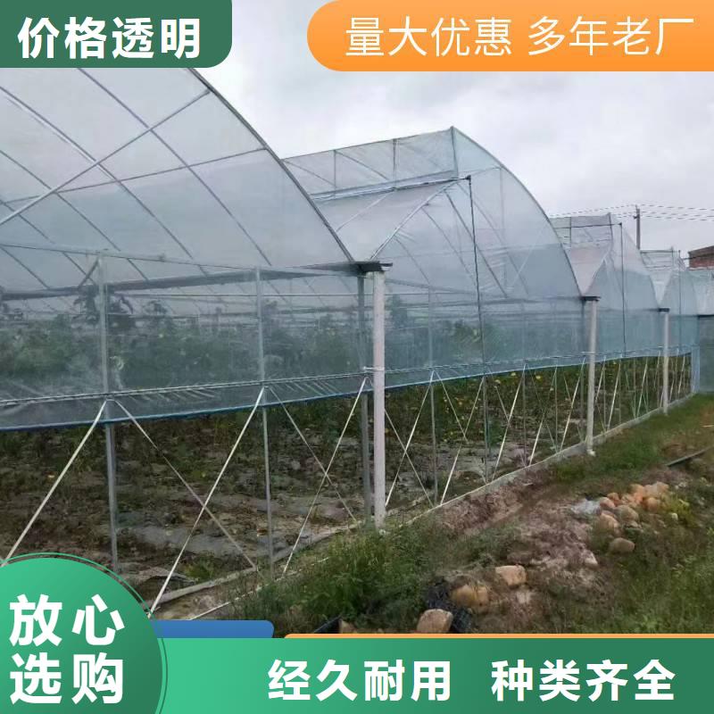 措勤县热镀锌大棚厂家生产基地