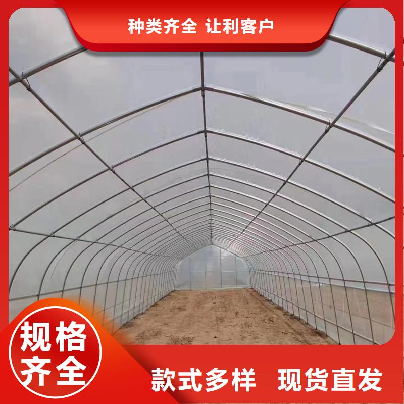 县葡萄大棚钢管厂家直销