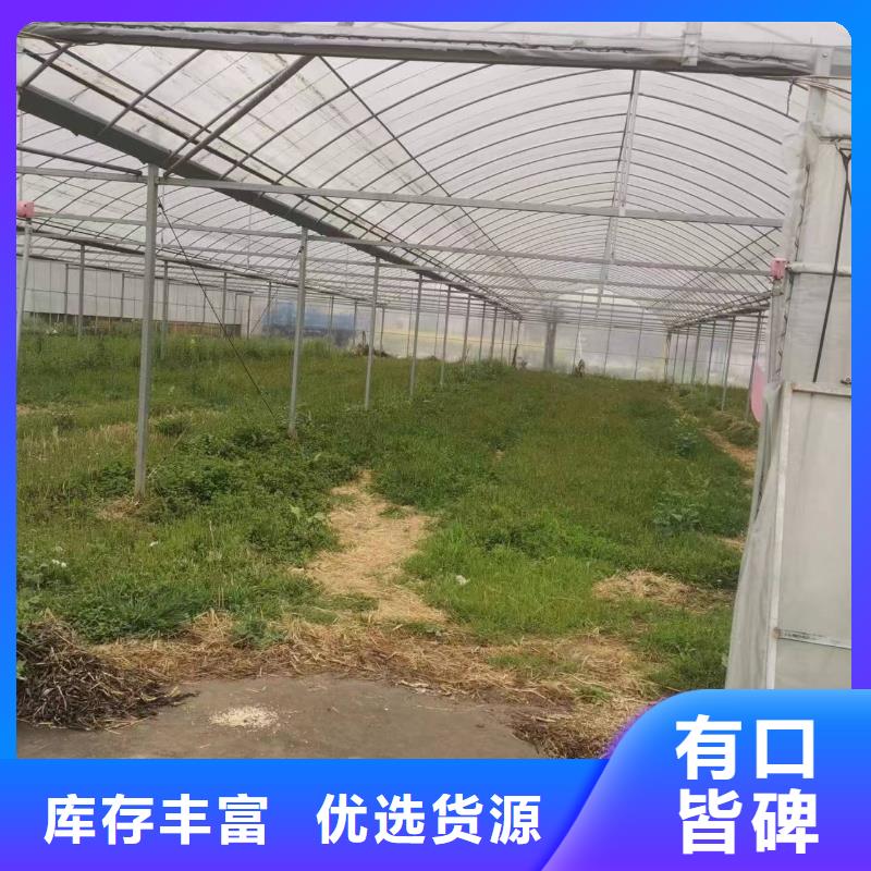 县葡萄大棚钢管厂家直销