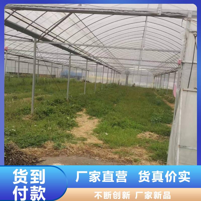 蔬菜水产养殖花卉育苗智能工厂-视频-广元市蔬菜水产养殖花卉育苗智能工厂-【本土】可服务区域朝天|元坝|甘孜|阿坝|宜宾|南充