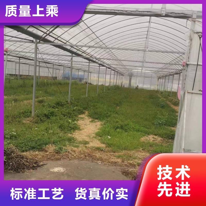屋脊通风气楼价格