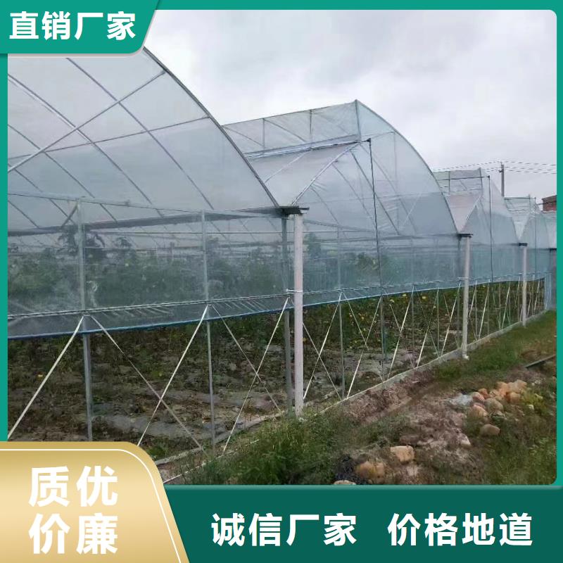 东阳市养殖大棚黑白膜现货齐全2025乡村振兴计划