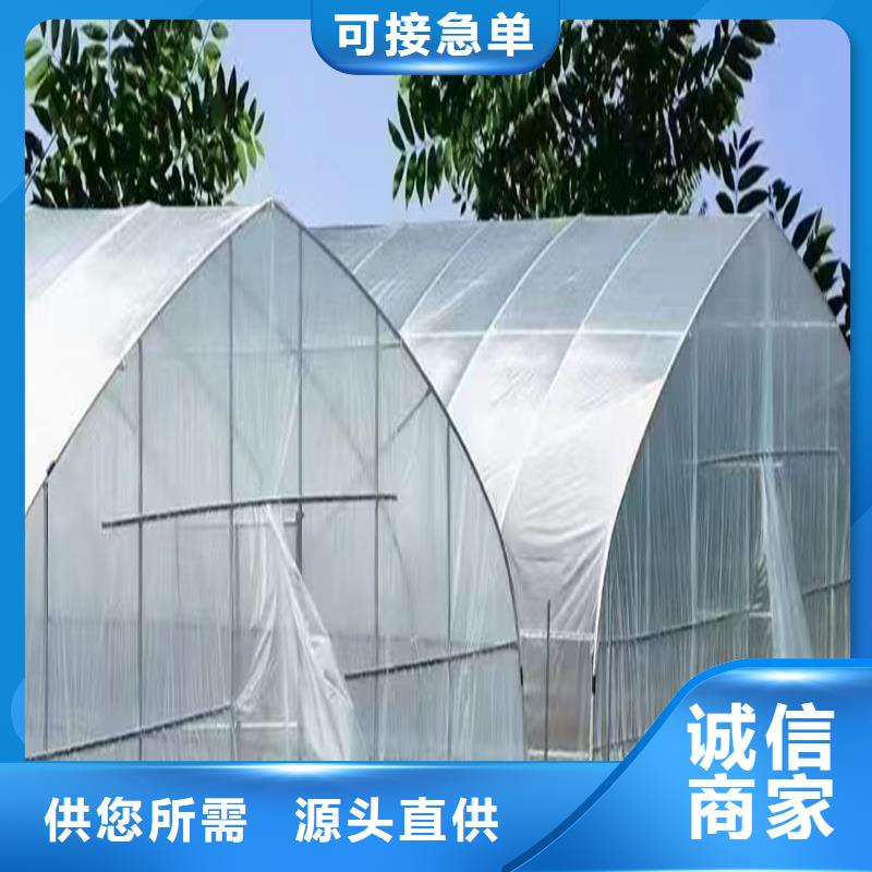 蔬菜水产养殖花卉育苗智能工厂-视频-广元市蔬菜水产养殖花卉育苗智能工厂-【本土】可服务区域朝天|元坝|甘孜|阿坝|宜宾|南充