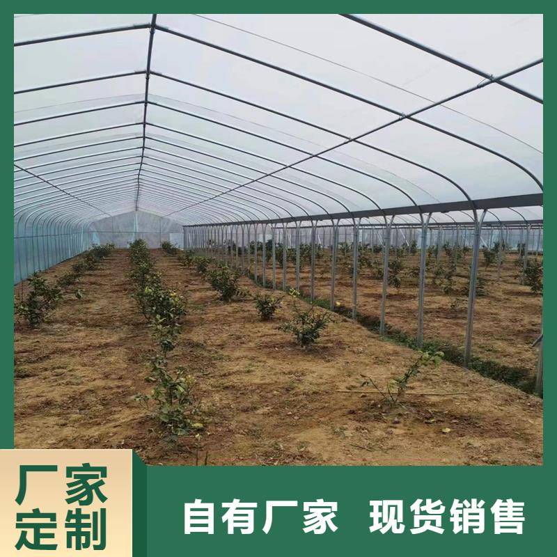 葡萄大棚的材料厂家直销